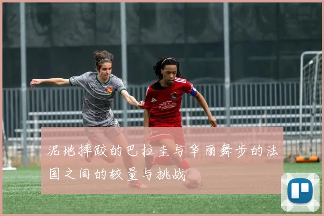 泥地摔跤的巴拉圭与华丽舞步的法国之间的较量与挑战